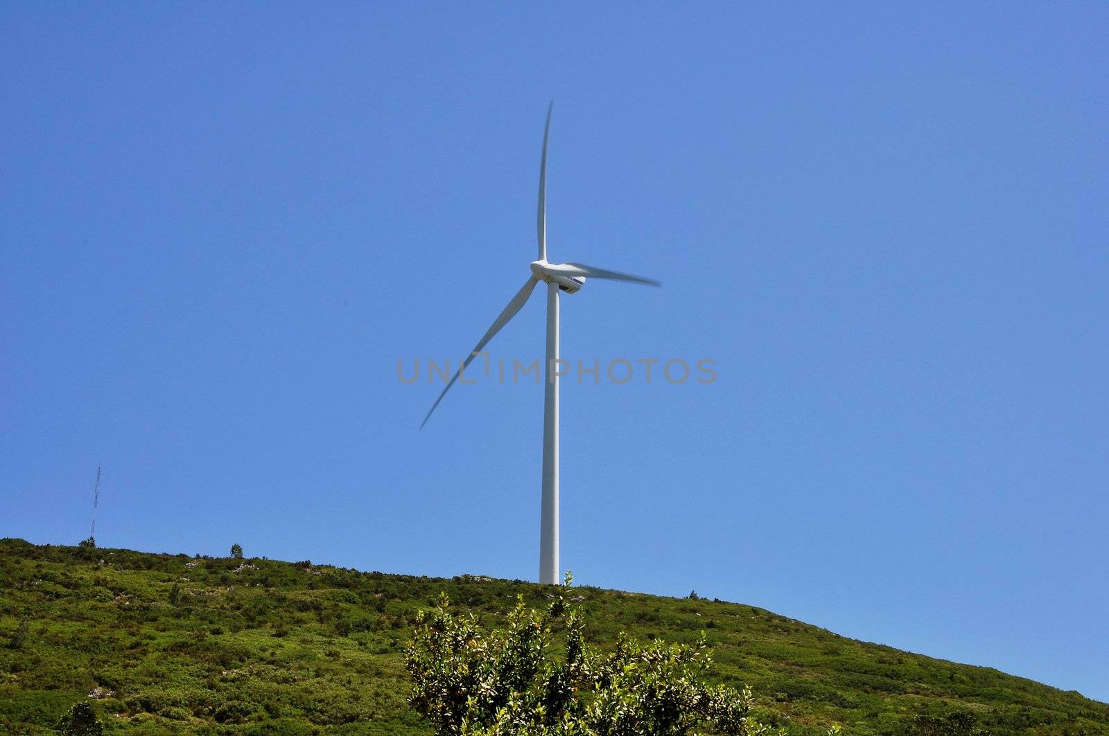 Landscapes Wind farm in grass over blue sky with 