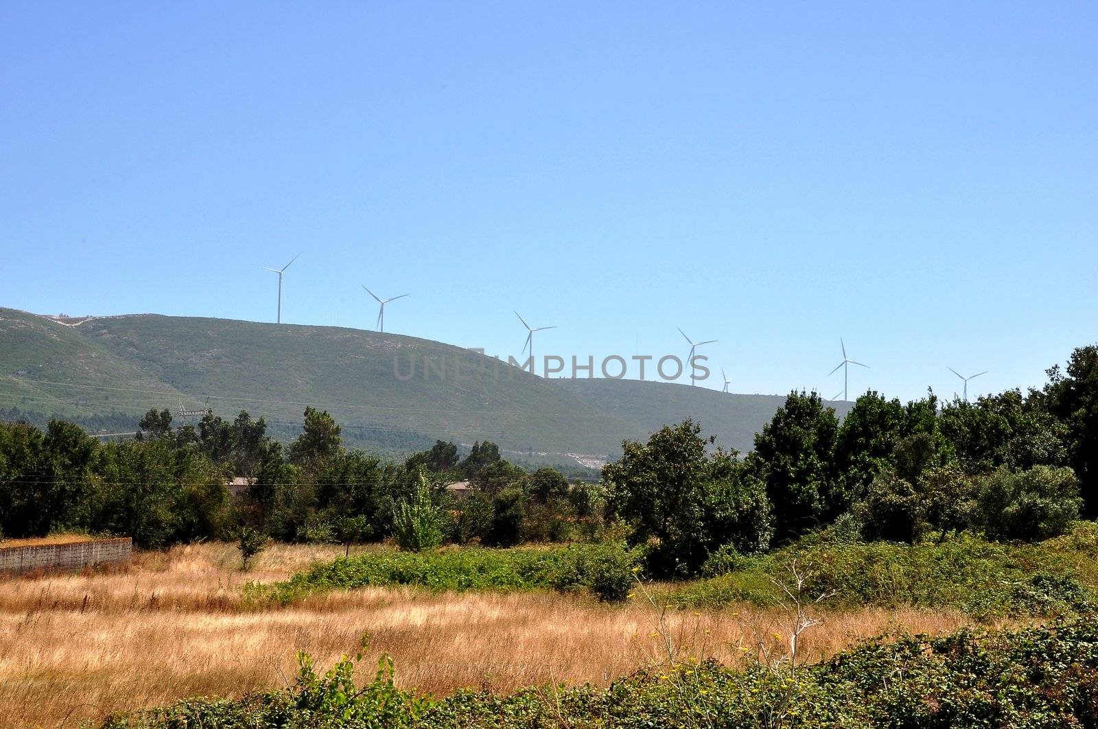 Landscape with wind power generators