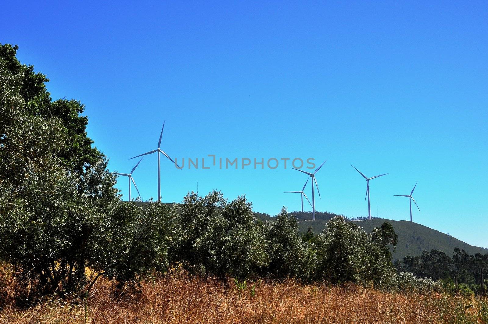 Landscape with wind power generators