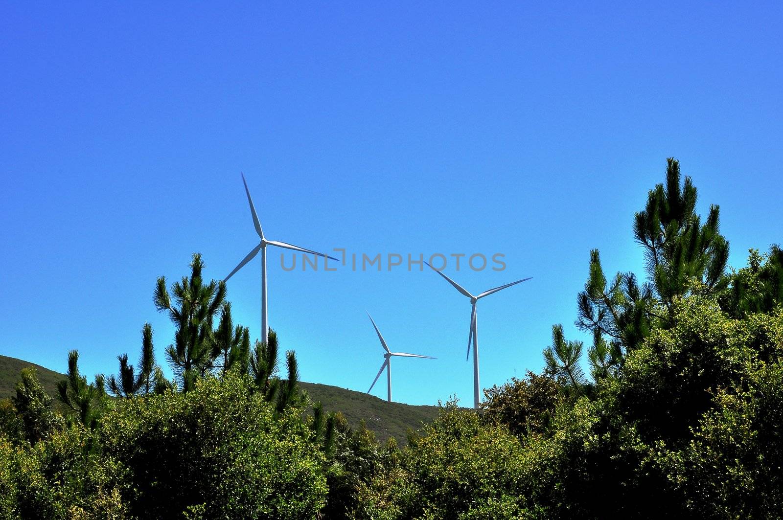 Landscape with wind power generators