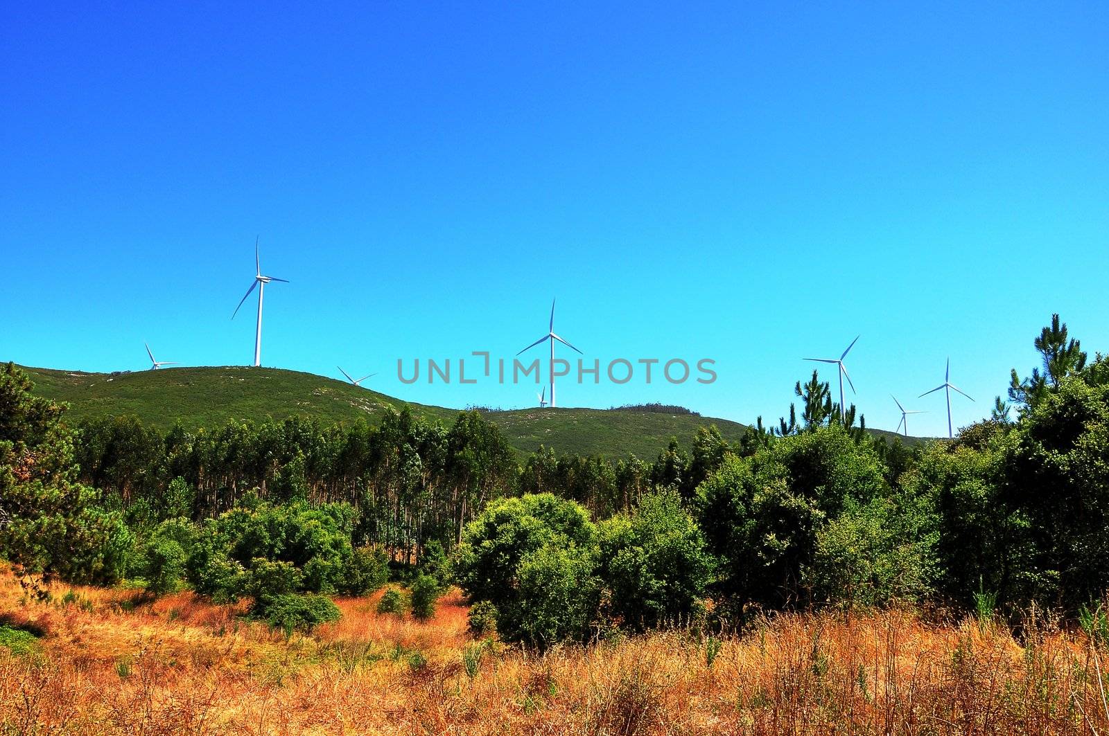 Landscape with wind power generators by vas25