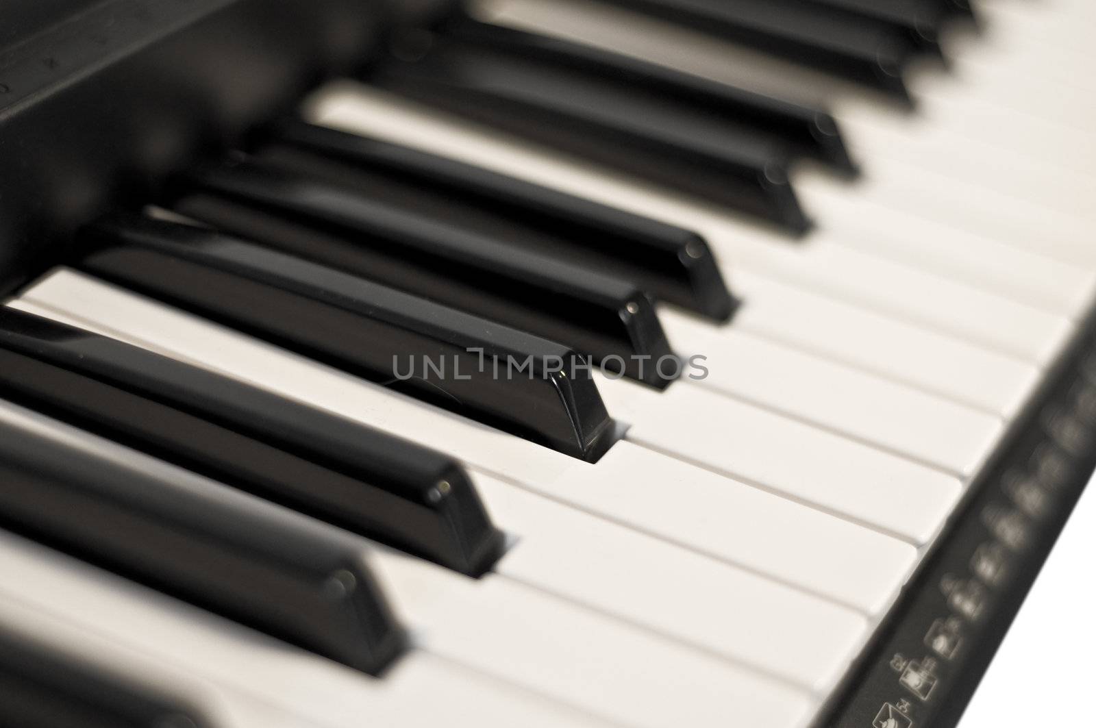 Piano keys close up. On a white background. Selective focus on one of the keys. Blur