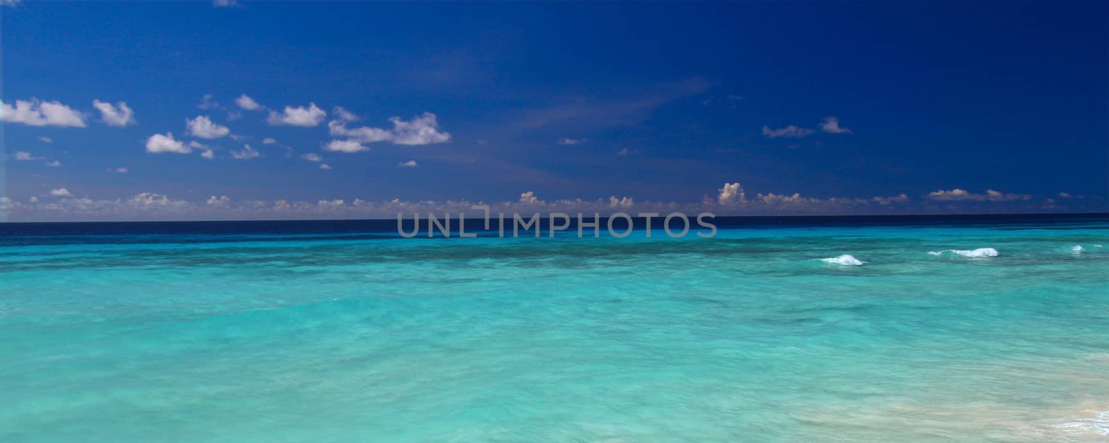 Caribbean view from Barbados by Wirepec