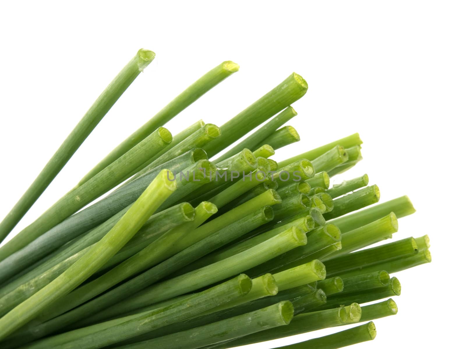 Closeup picture of fresh chives on white background