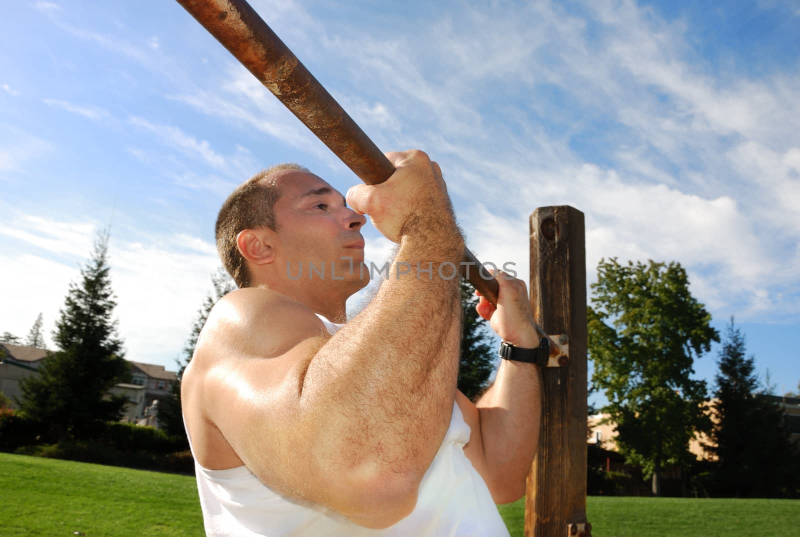 Strong Man Doing Pullups in the Park on a Sunny Day