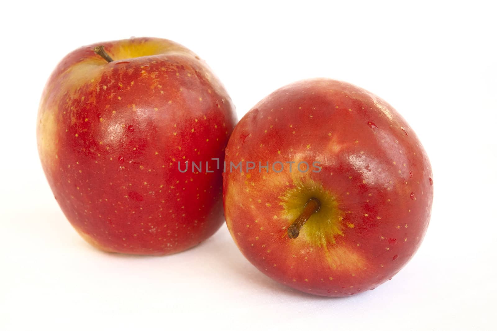 Two apples on white background
