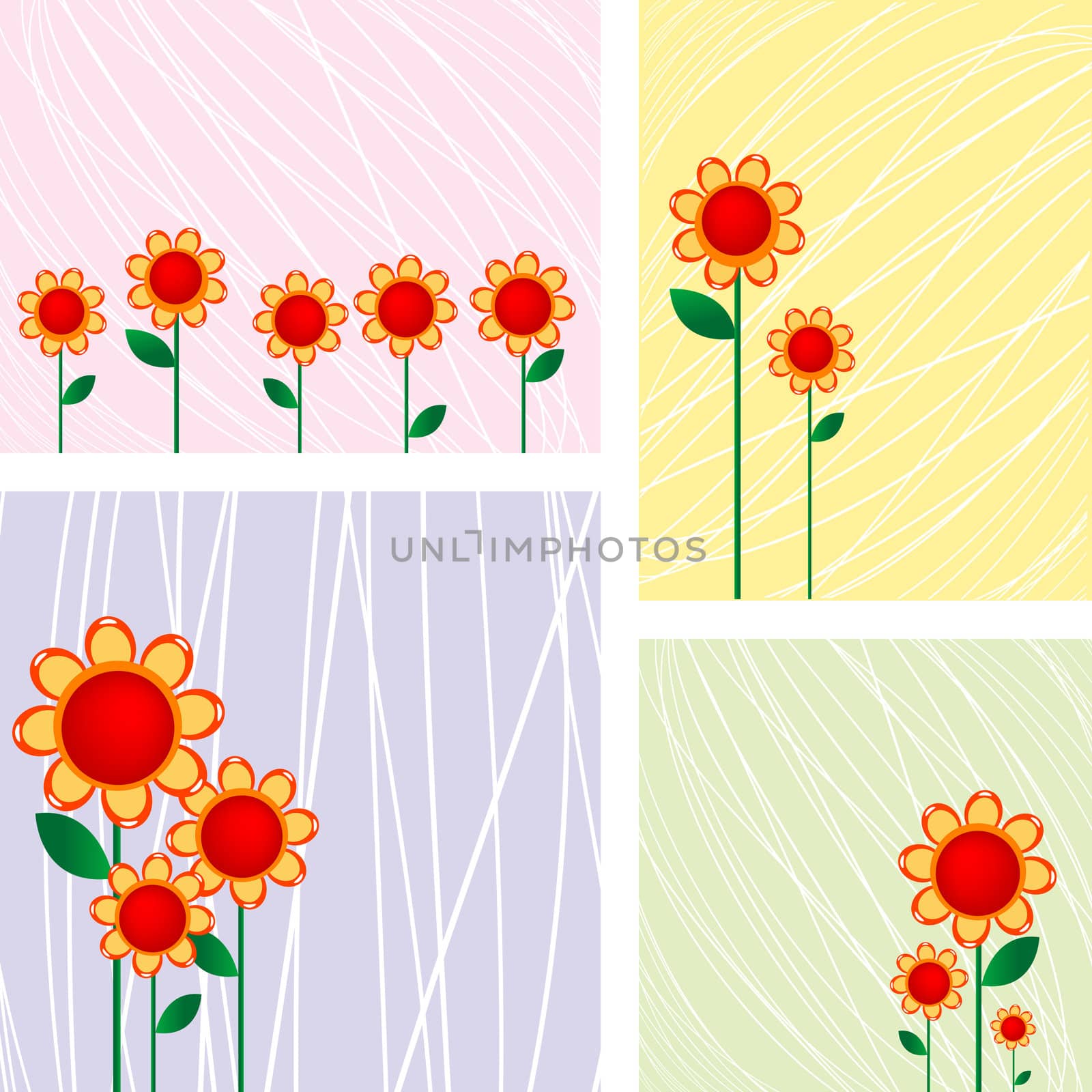 Beautiful floral cards collection over white background
