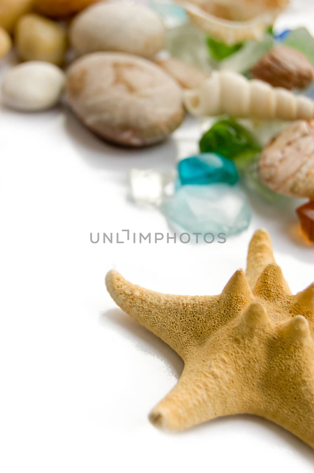 sea shells, stone and star isolated over white