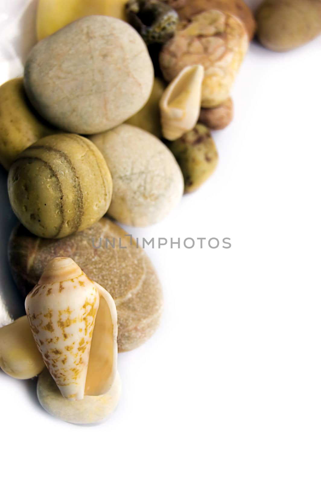 Assorted sea shells and stones over white with copy space