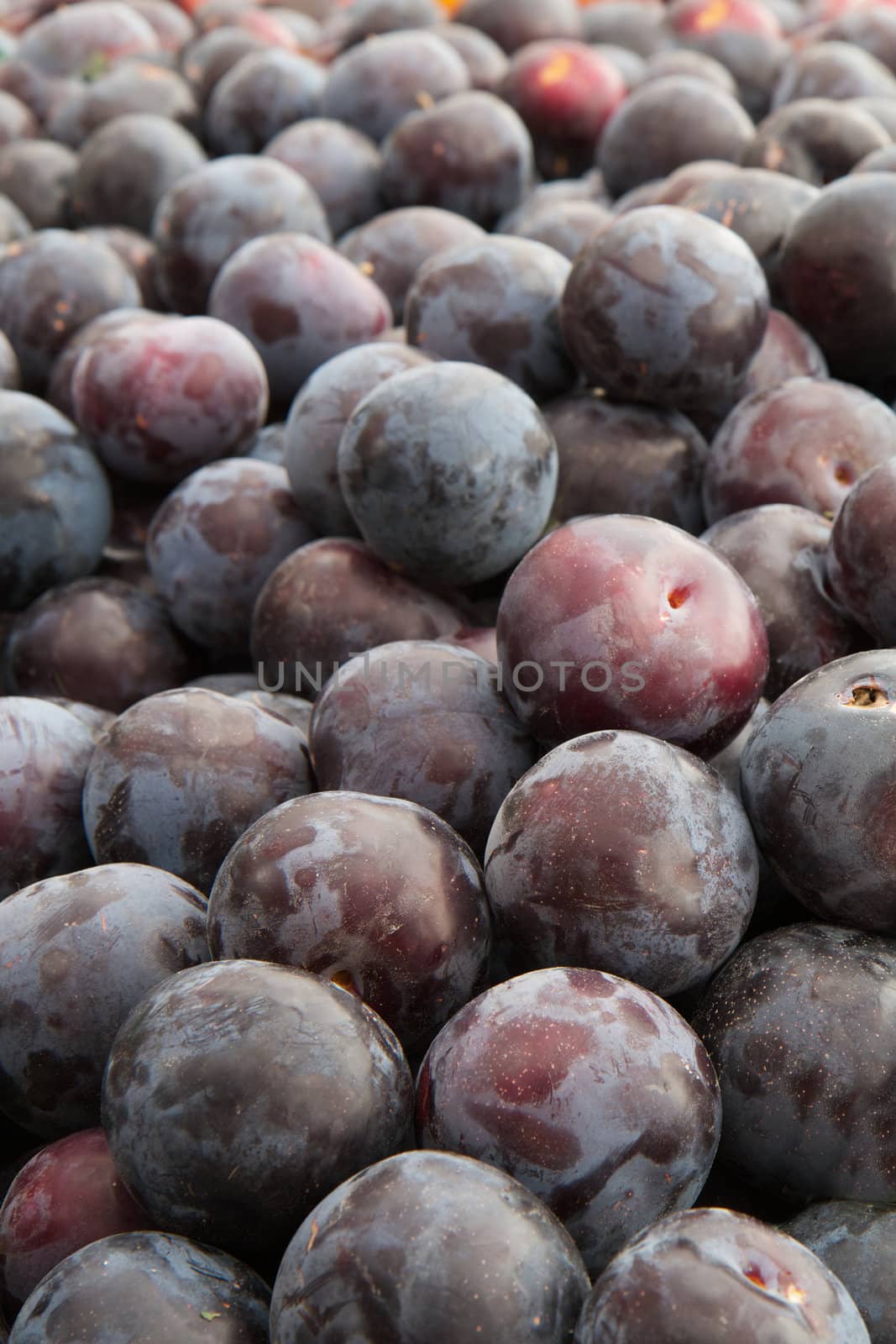 Pile of purple and red plums at the farmes market