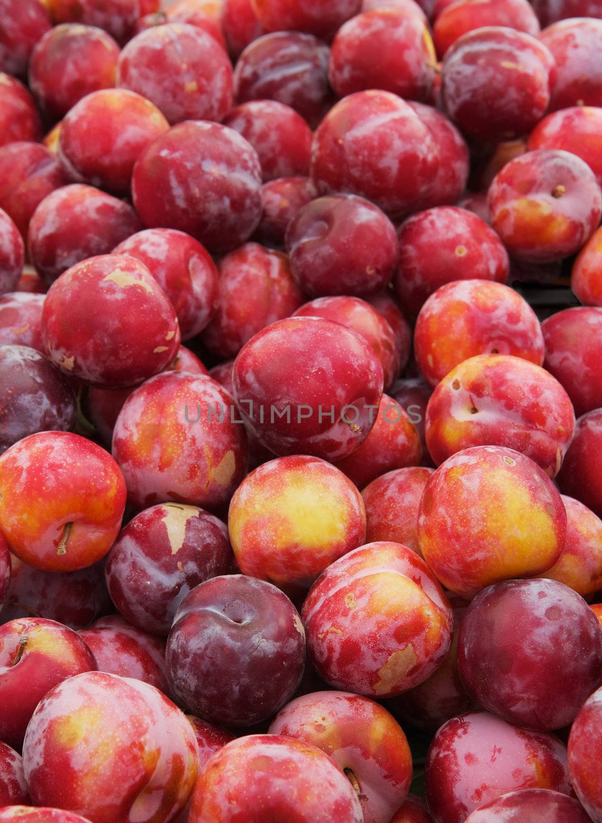 Pile of red and yellow plums  at the farmers market