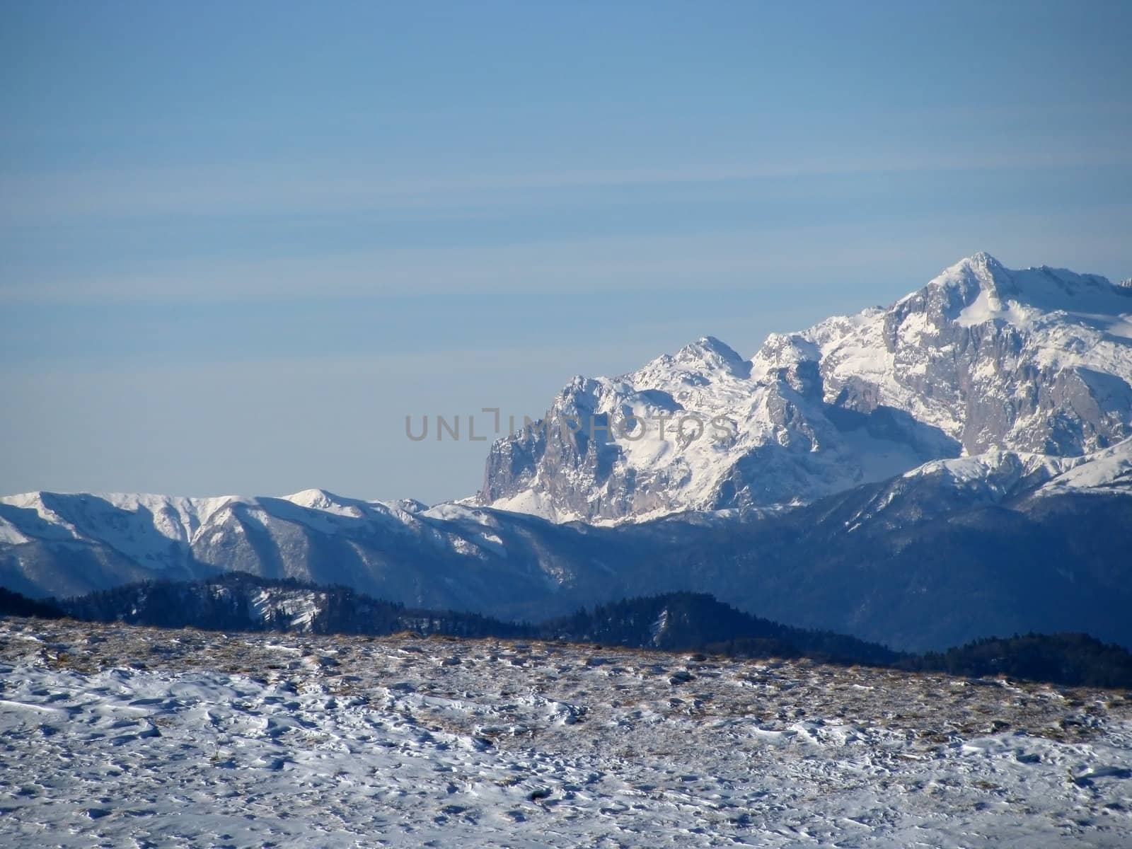 Europe; Russia; a file; flora; vegetation; a distance; winter