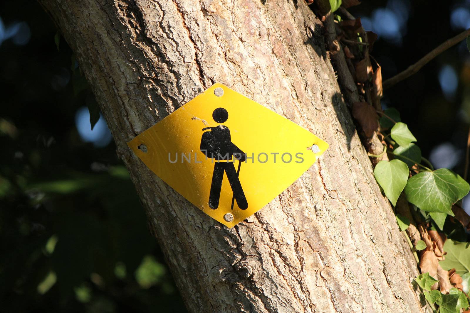 Sign showing the way to walkers, fixed on a tree trunk