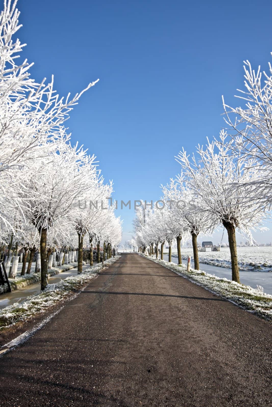 Countryroad in wintertime by devy