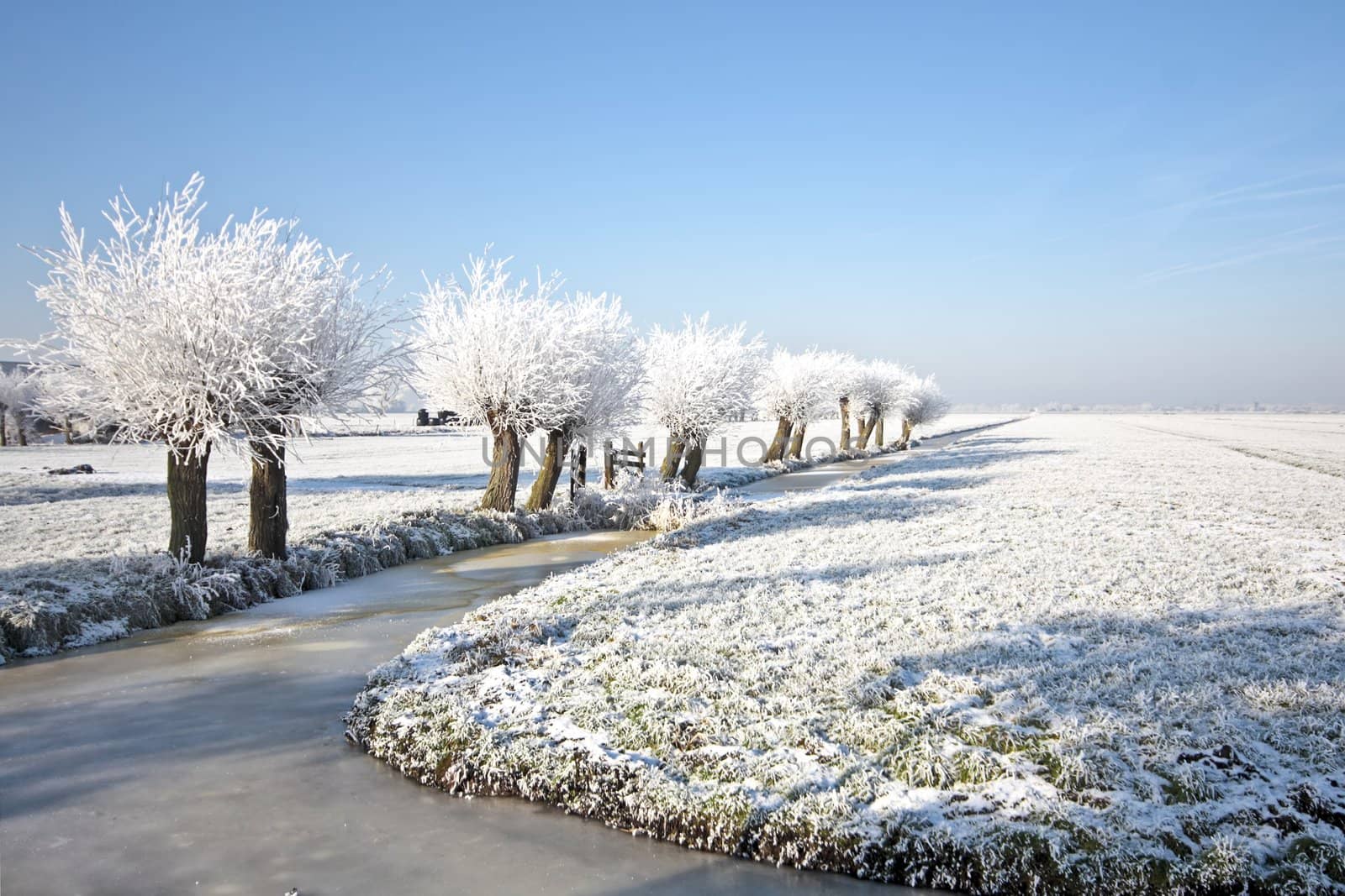 Winter in the Netherlands by devy