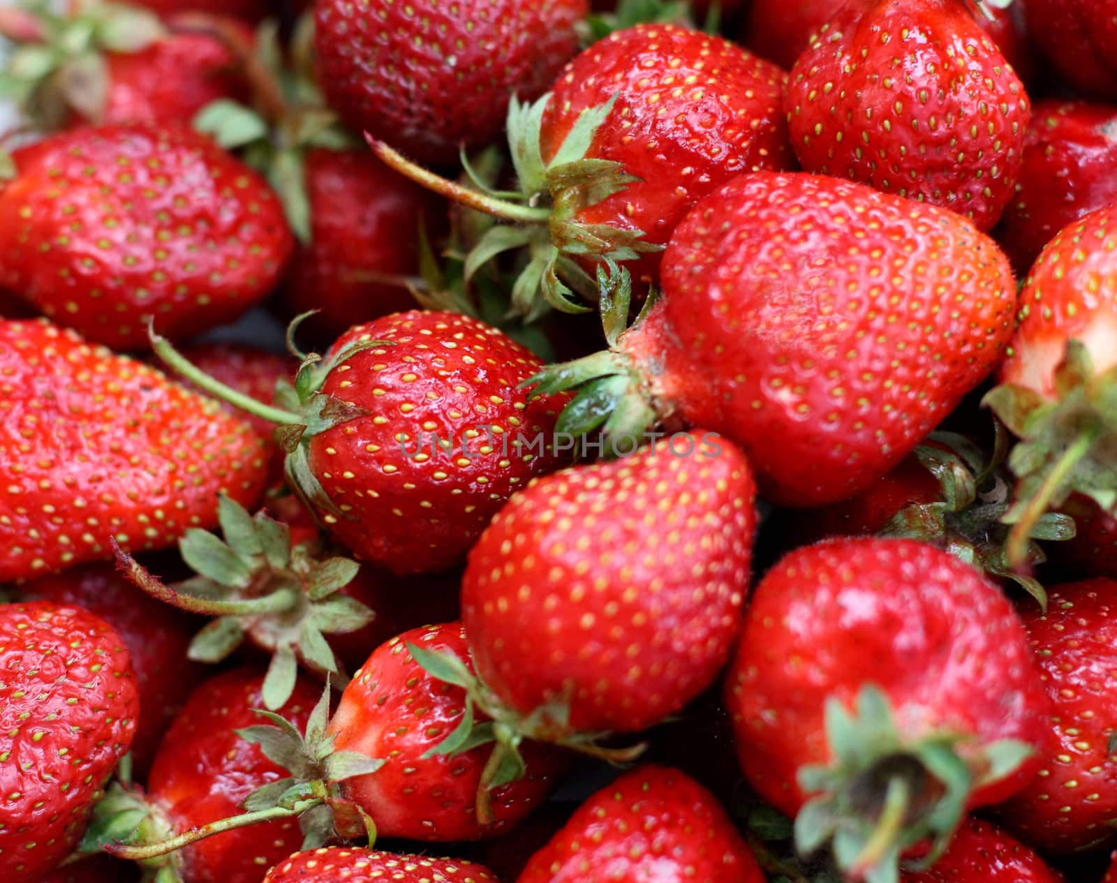 Ripe red strawberry by Lessadar