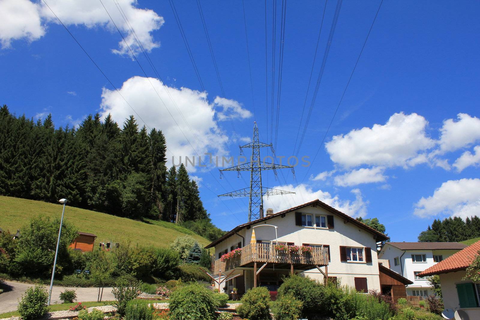 house and trees green and electrical pilone