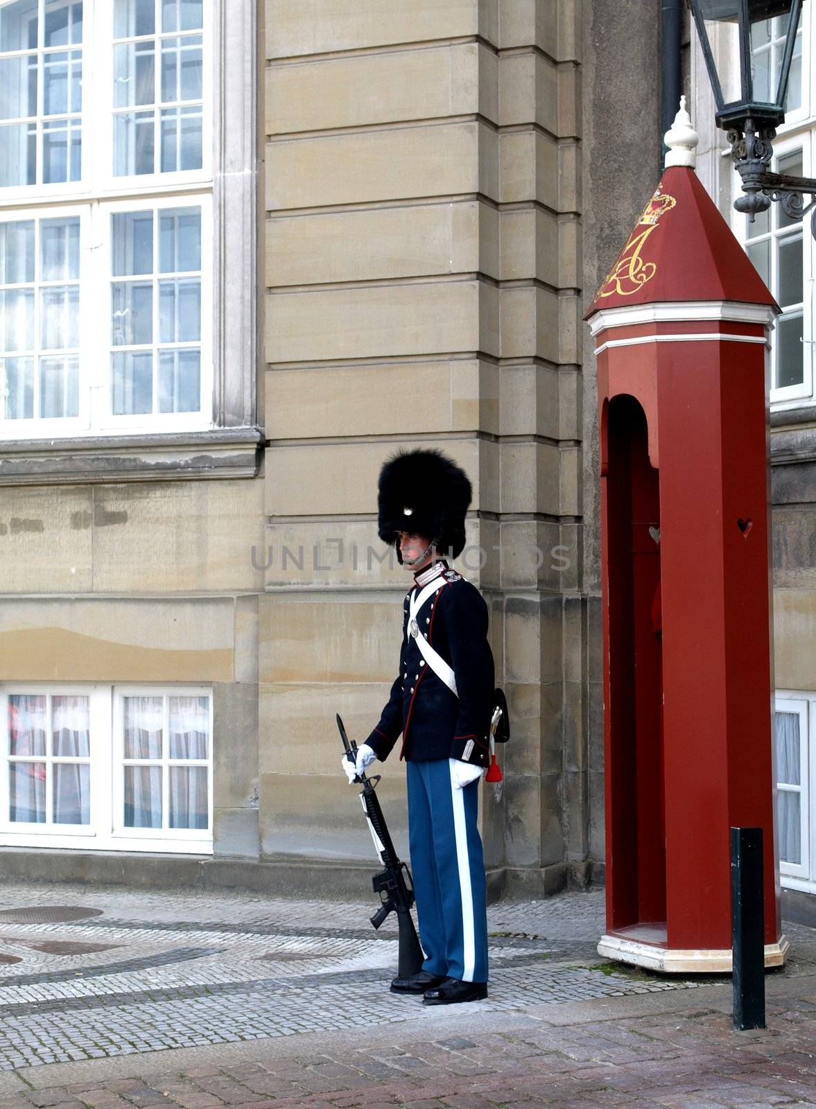 A Danish Royal guard at Amalienborg Palace in Copenhagen.