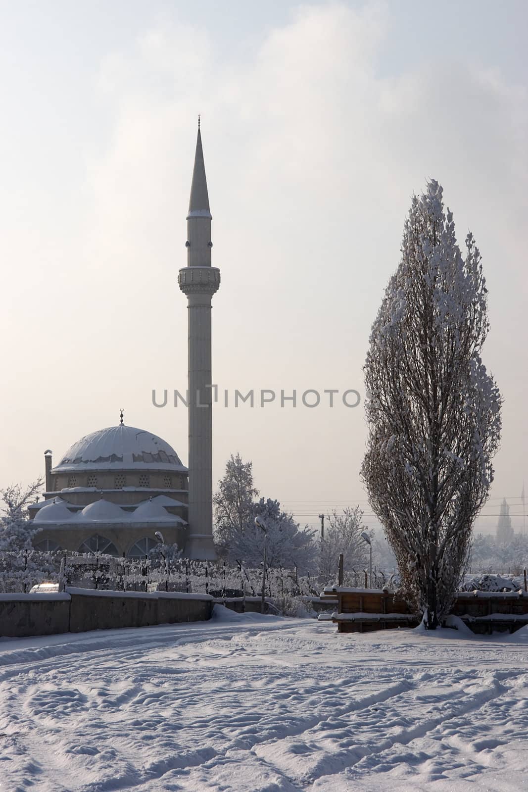 Mosque near bus station in Erzurum, Turkey