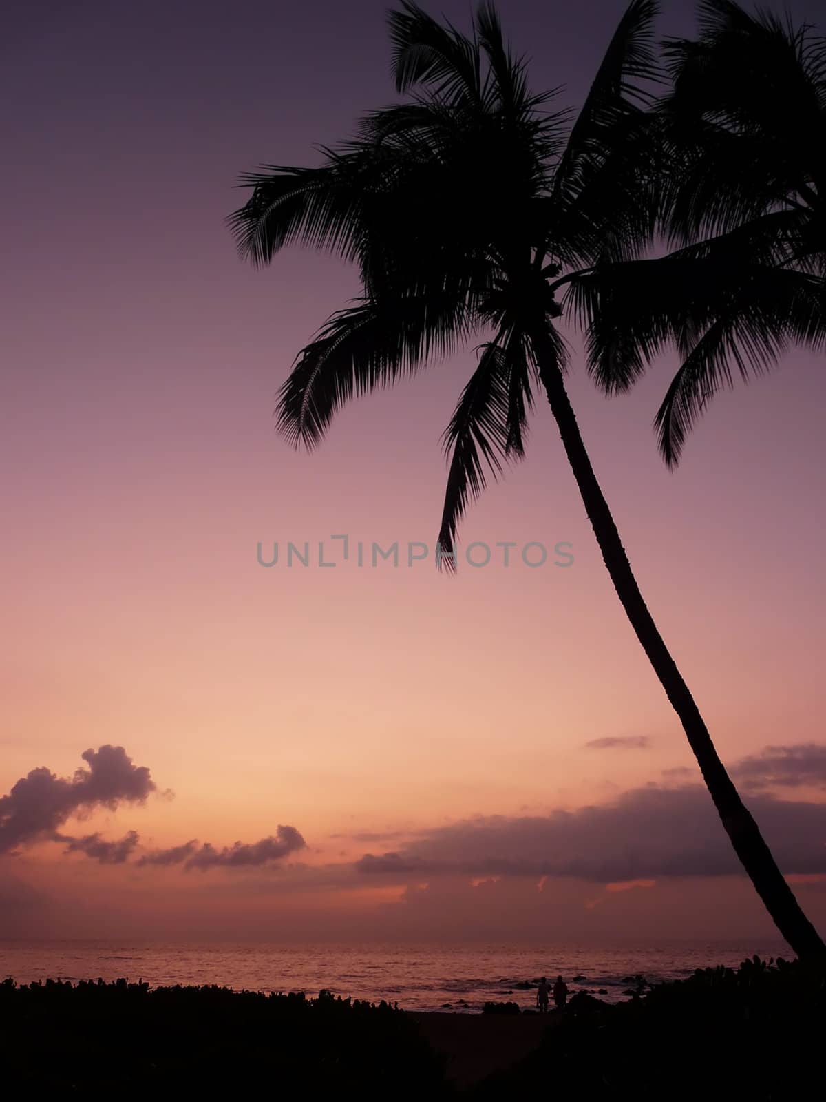 Maui sunset by pljvv