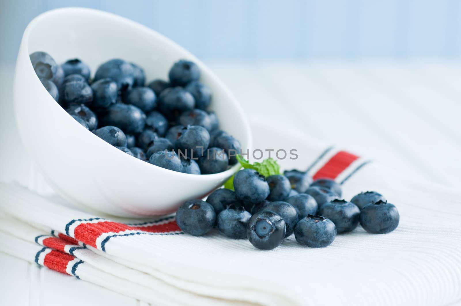 Closeup of spill of fresh and ripe blueberries.