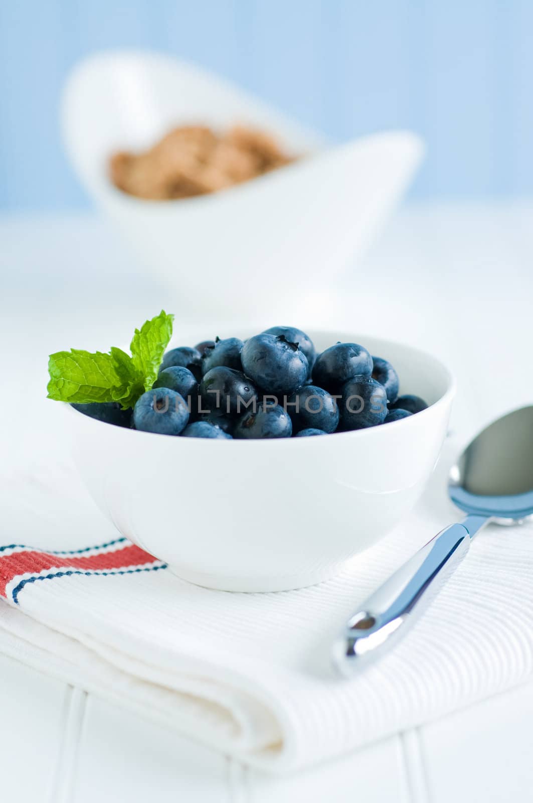 Still life of a bowl of fresh ripe blueberries.