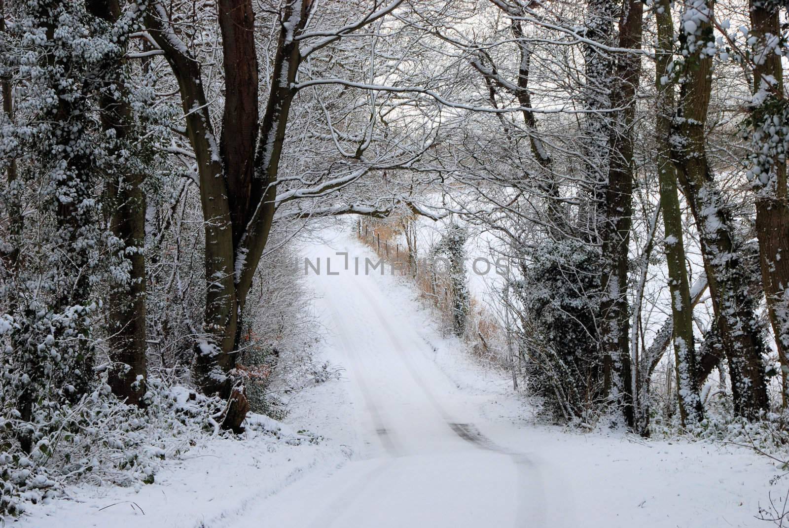 A snow covered lane in Kent February 2009