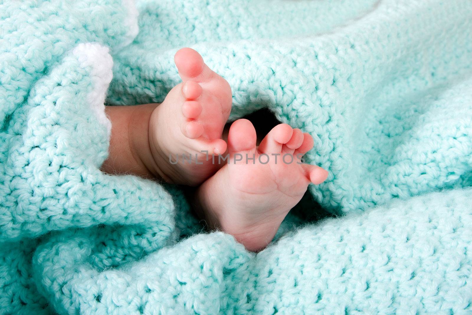 Two cute tiny baby feet wrapped in a blue-green aqua knitted blanket.