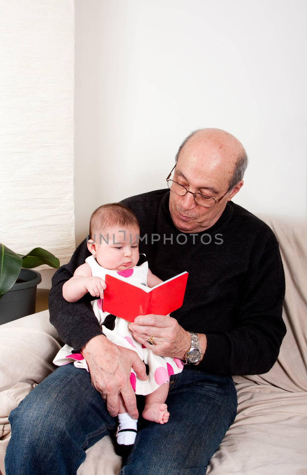 Happy grandfather reading a little red book to a baby girl. Infant sitting on fathers lap while being educated reading, sitting on the couch in a livingroom.
