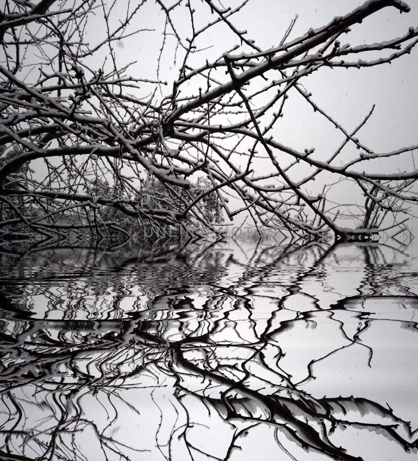 Winter landscape in Viseu by jpcasais
