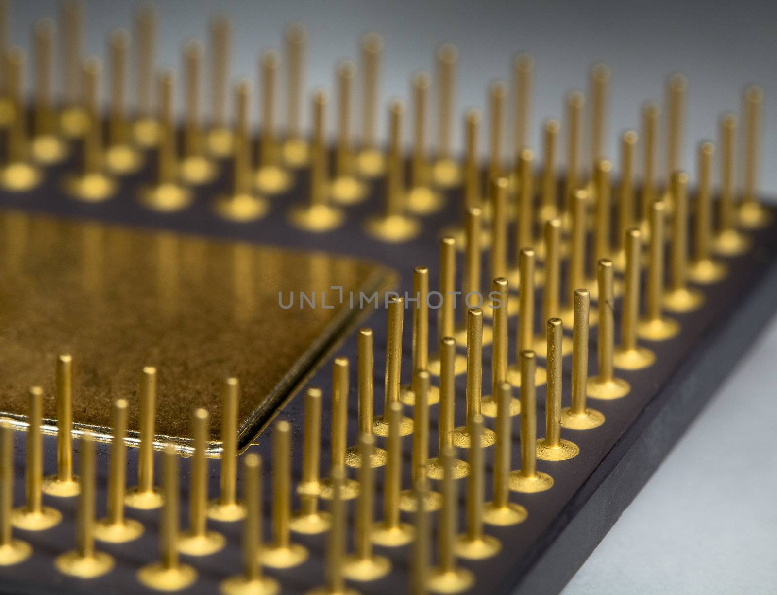 Gilt legs of the processor photographed with increase