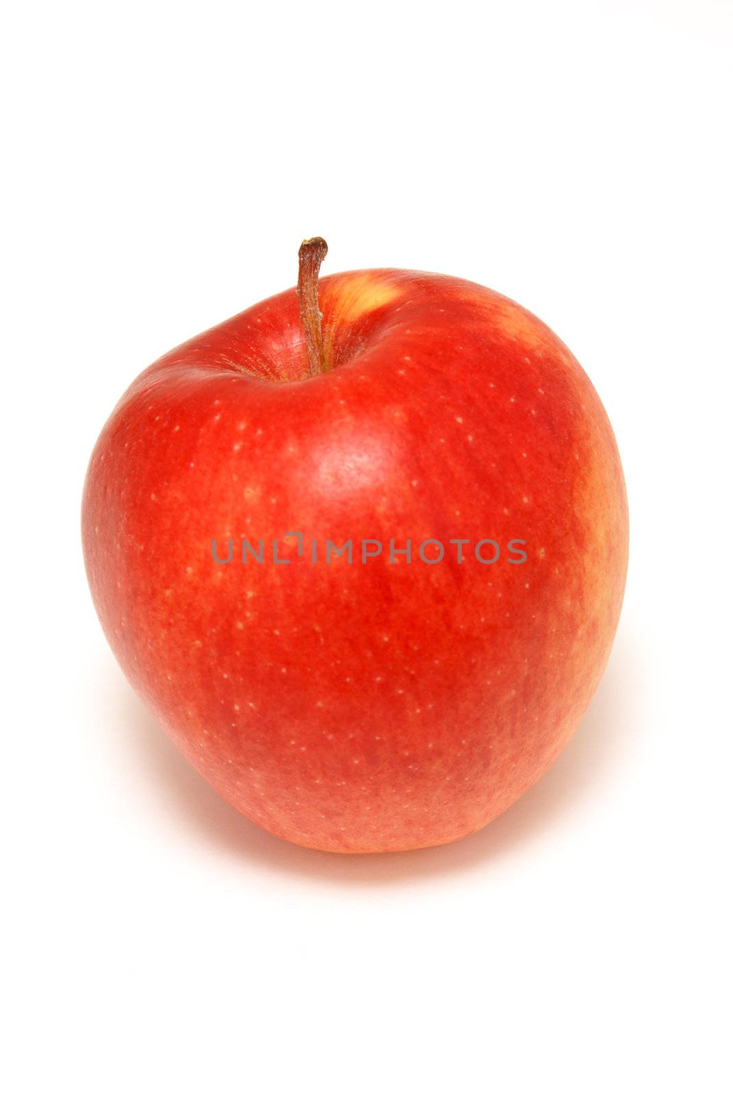 One red apple isolated on white background.
