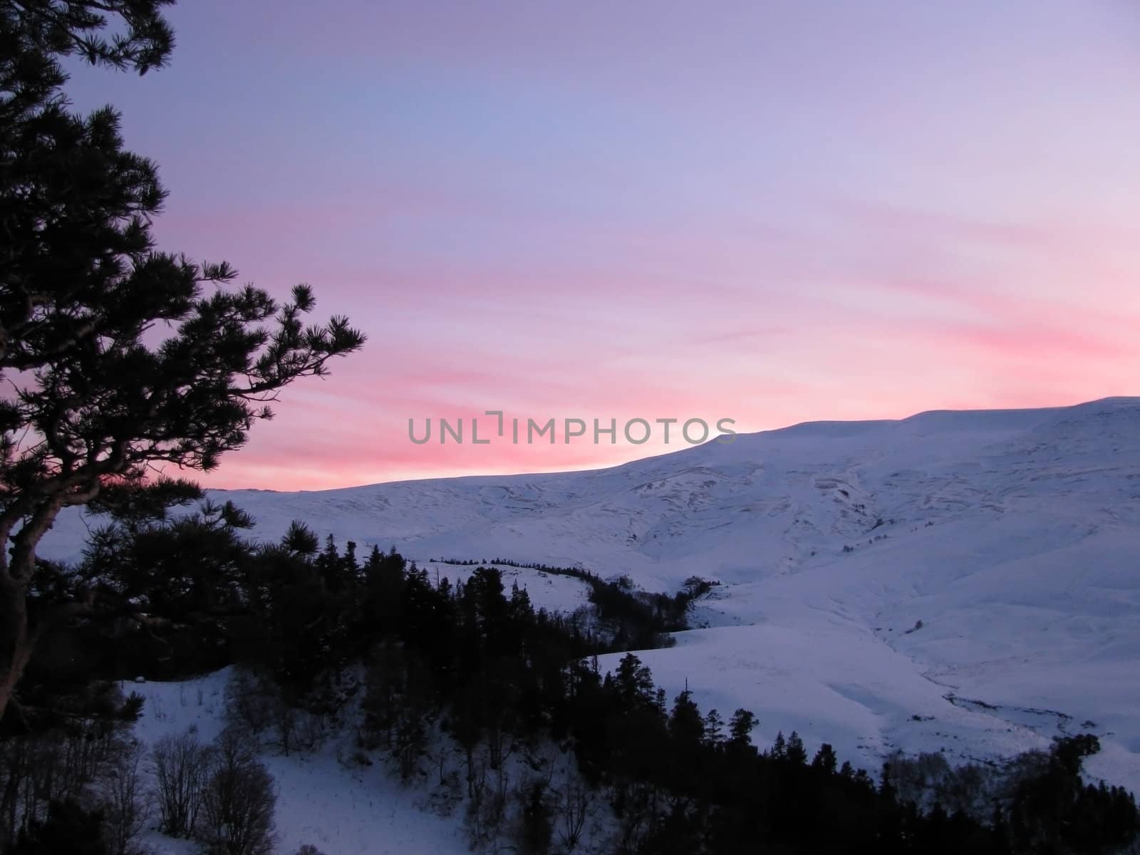 Decline, pink, beautiful, bright, winter, a plateau, mountains, a kind, a panorama, a landscape, the nature, a landscape, snow, wood, the Alpine meadows, a relief, caucasus, beauty, a background, reserve, a slope, flora, a ridge, clouds, the sky, a pine