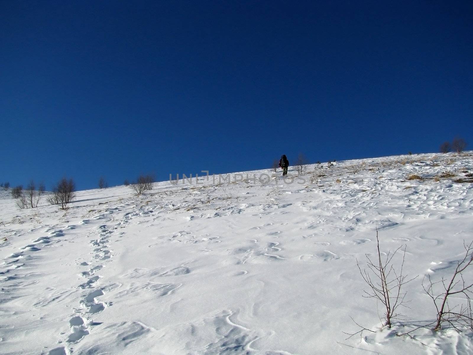 Traces; a relief; a landscape; a hill; a panorama; mountains; caucasus; a slope; the white