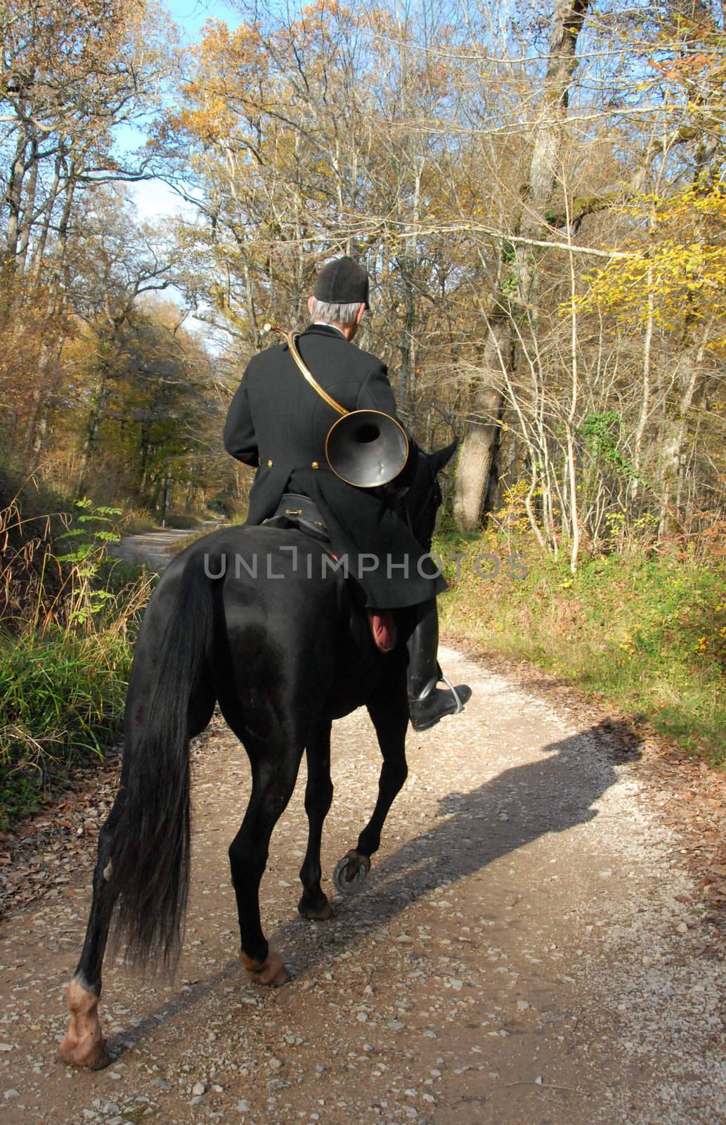 a huntman and his black horse in a fox hunting