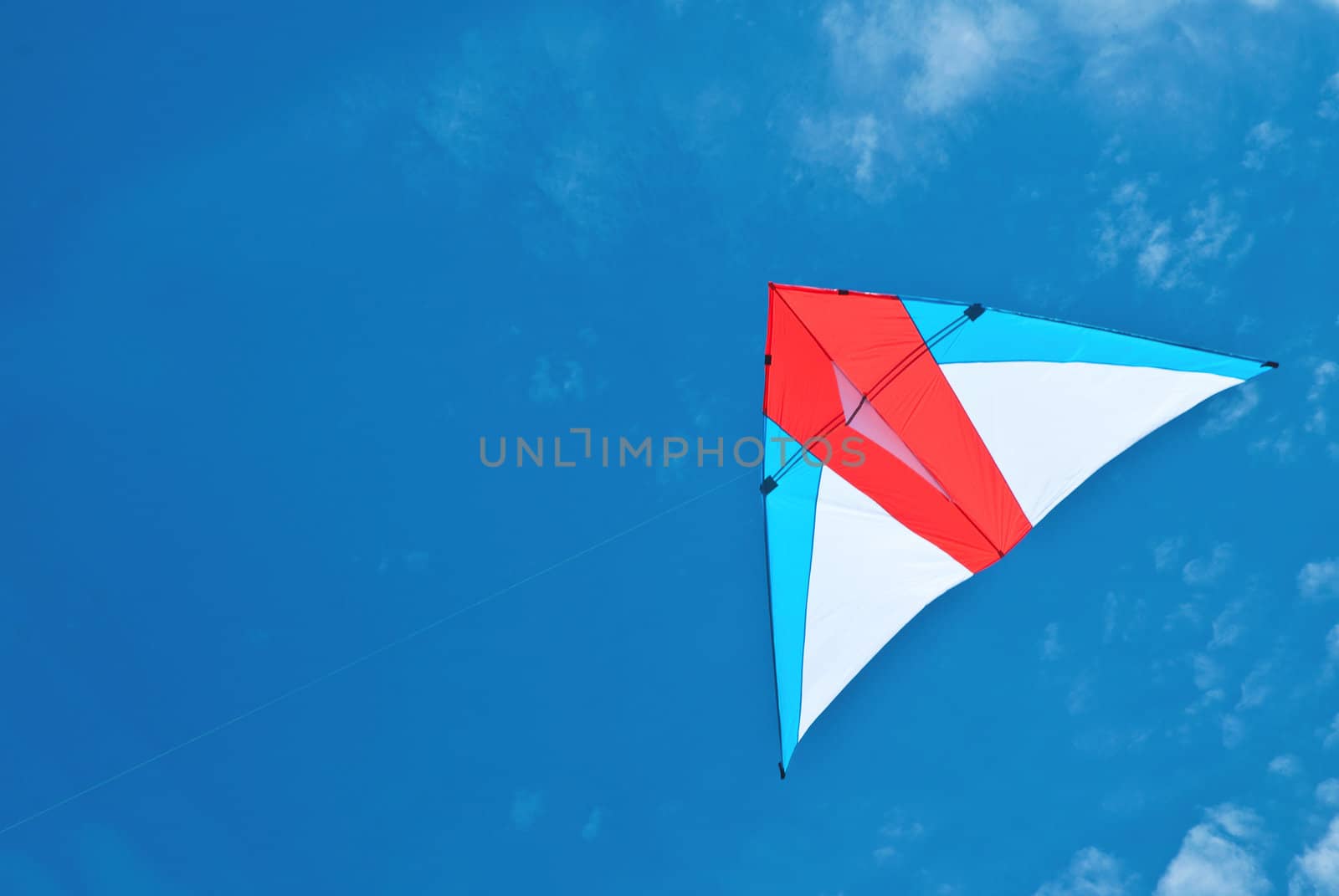 Kite flying under the sky