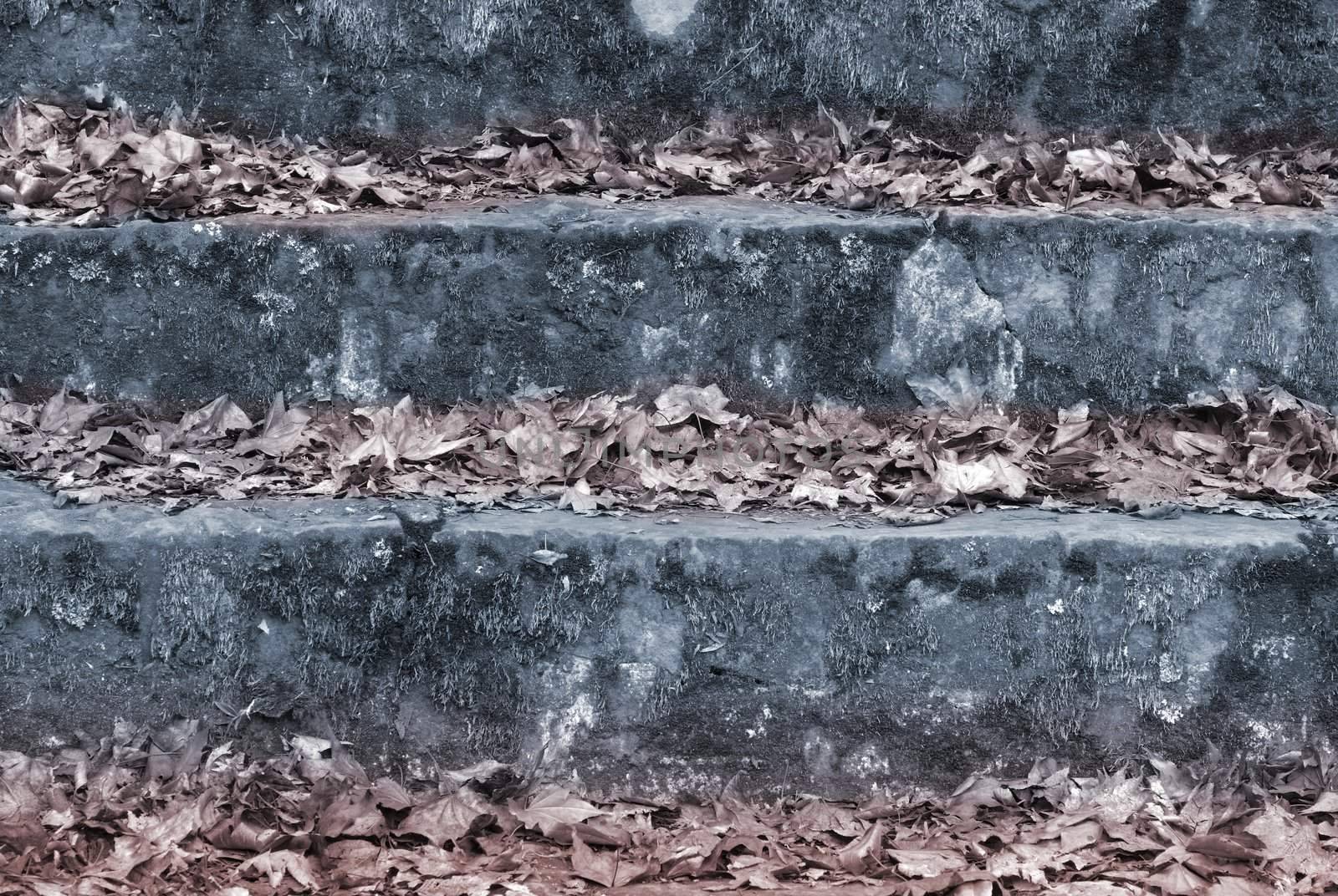 Stairs in ruins full with Leaves, feel so blue and sad. It's winter scenes.