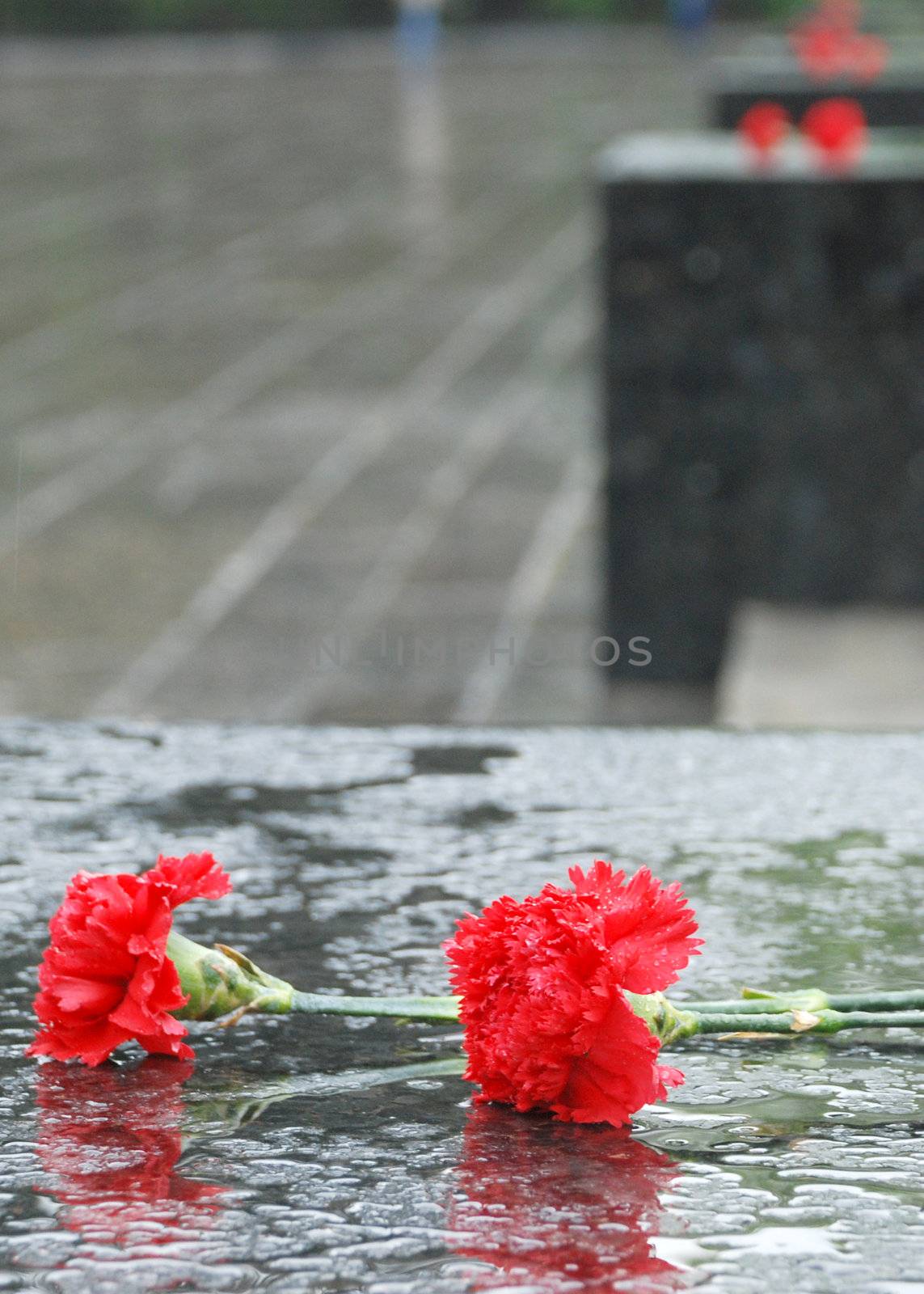 red carnations on a black granite wet