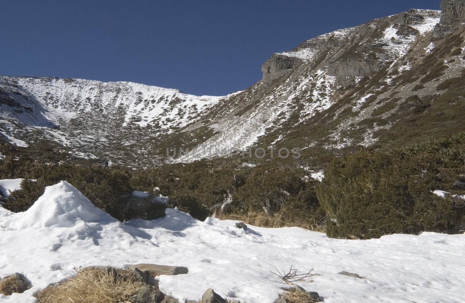 Snow mountain in Taiwan National Park, it is so beautiful and majestic alpine of the world.