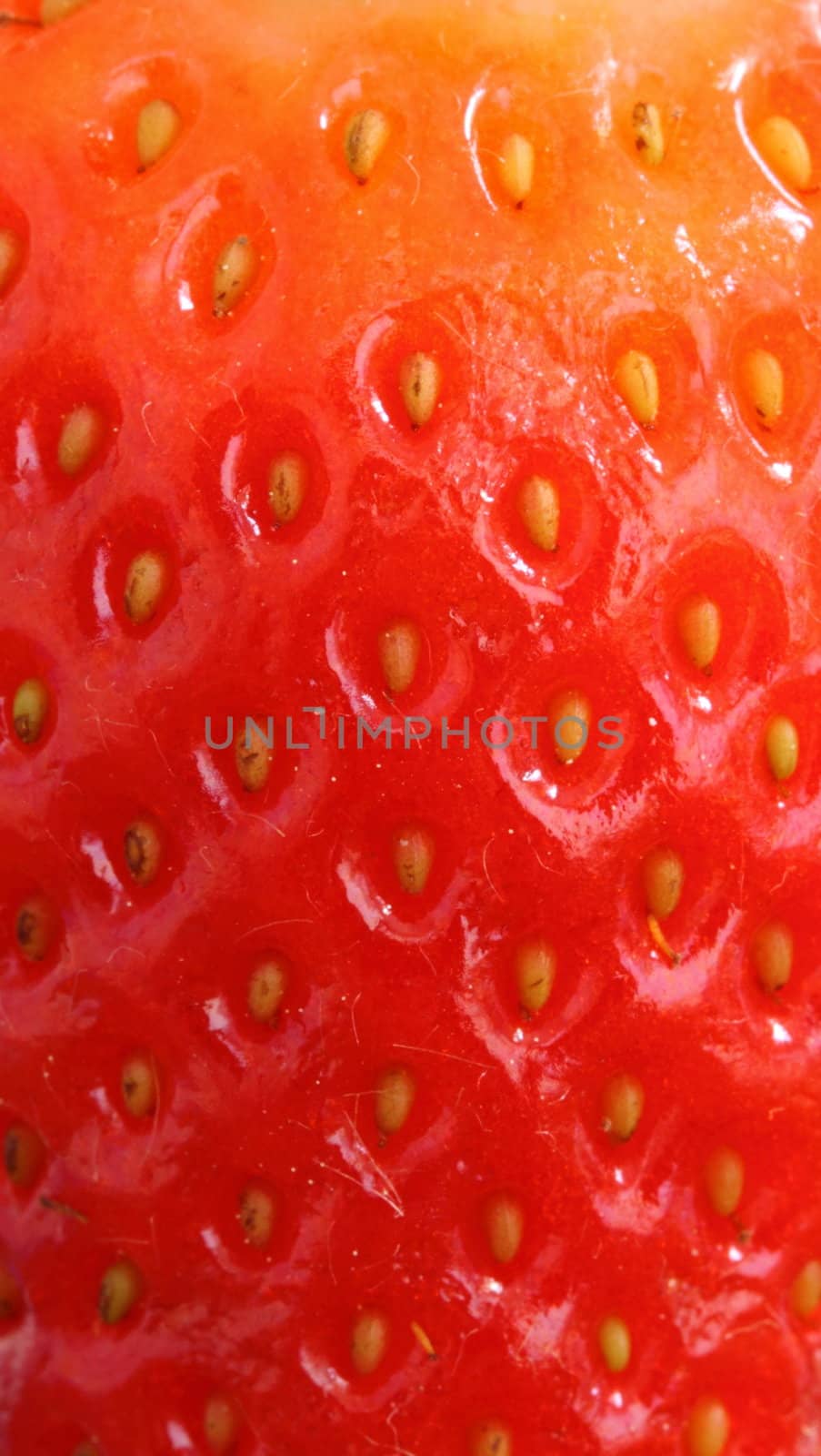 strawberry by mitzy