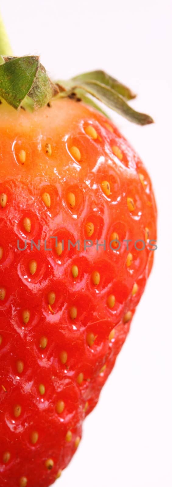 strawberry by mitzy