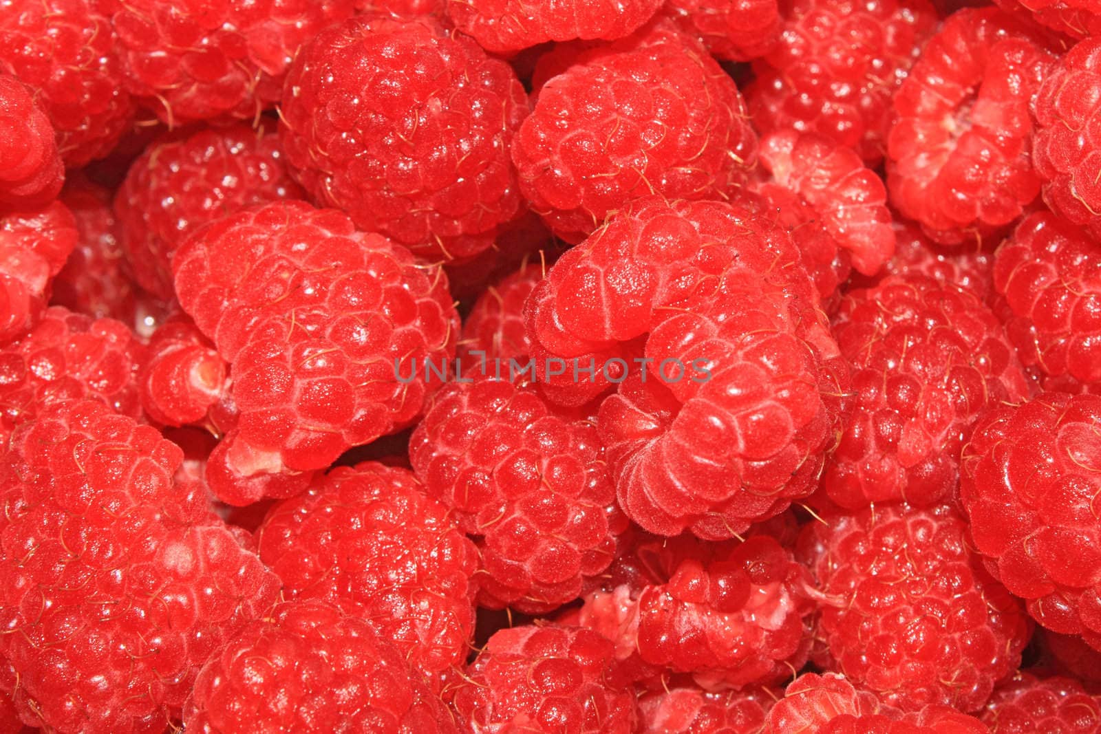 Close up of the ripe raspberry for the background
