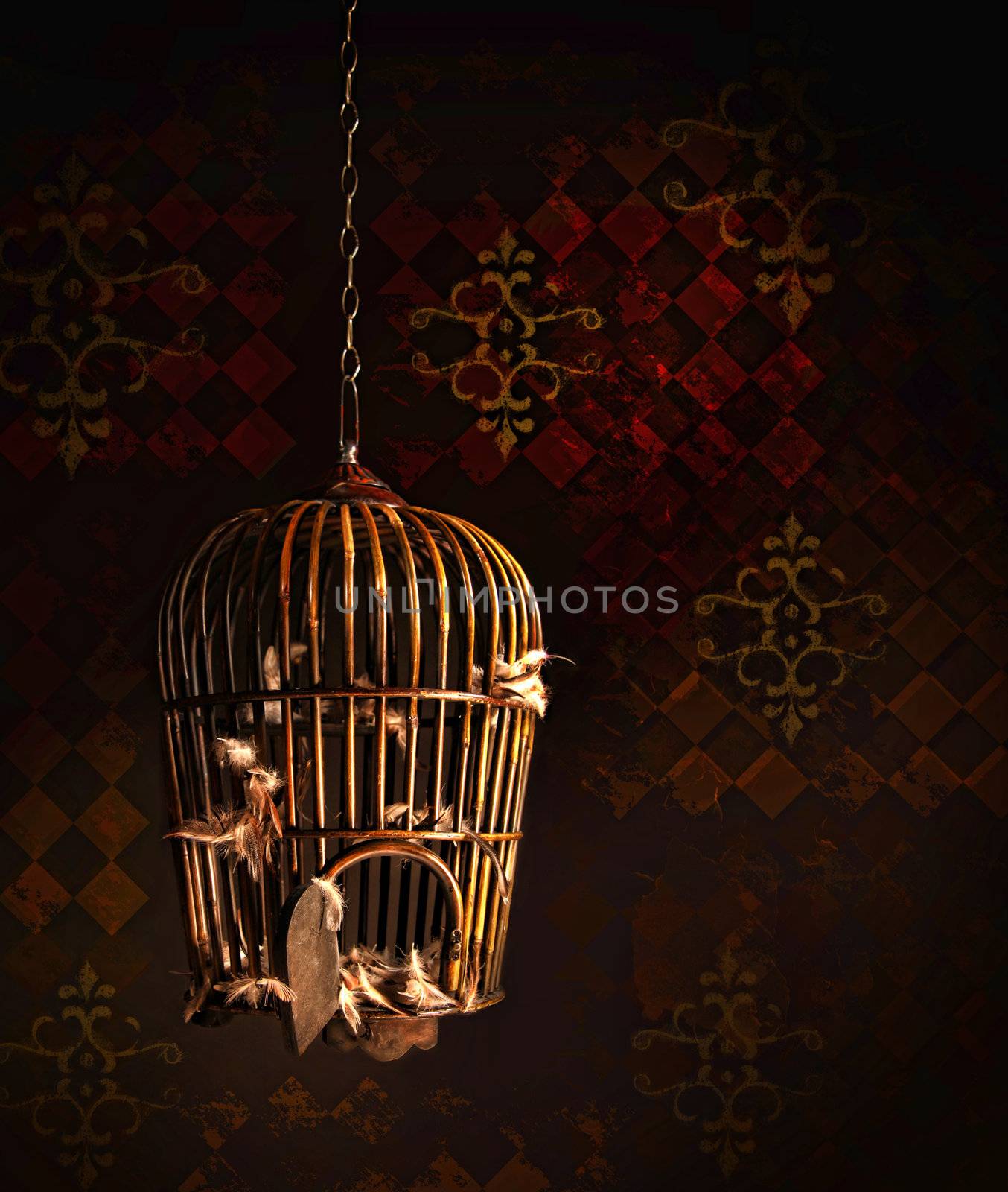 Old wooden bird cage with nothing but feathers left inside
