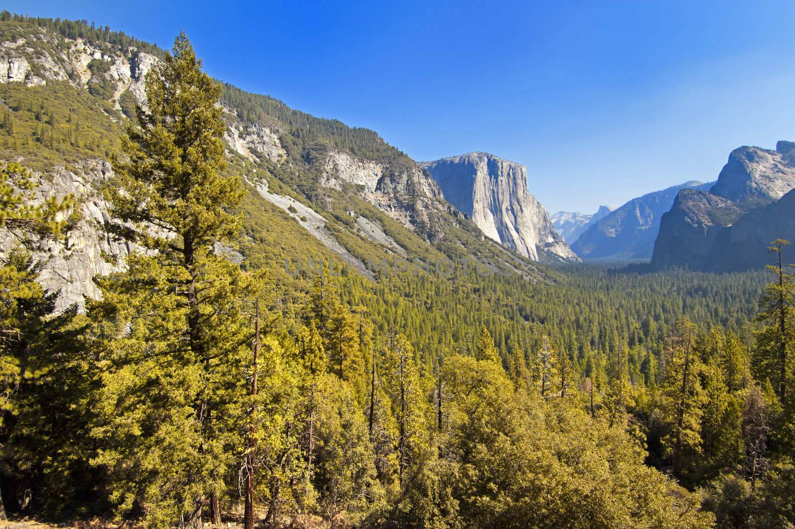 Valley through Yosemite National Park, California, USA