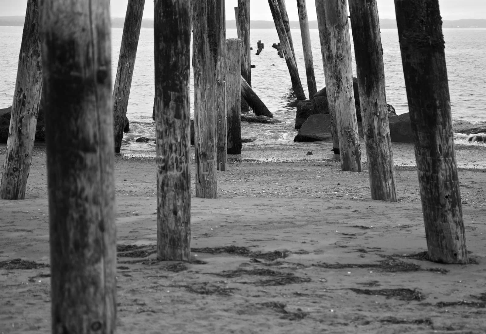 Reminents of an old ocean pier in perspective as black and white image