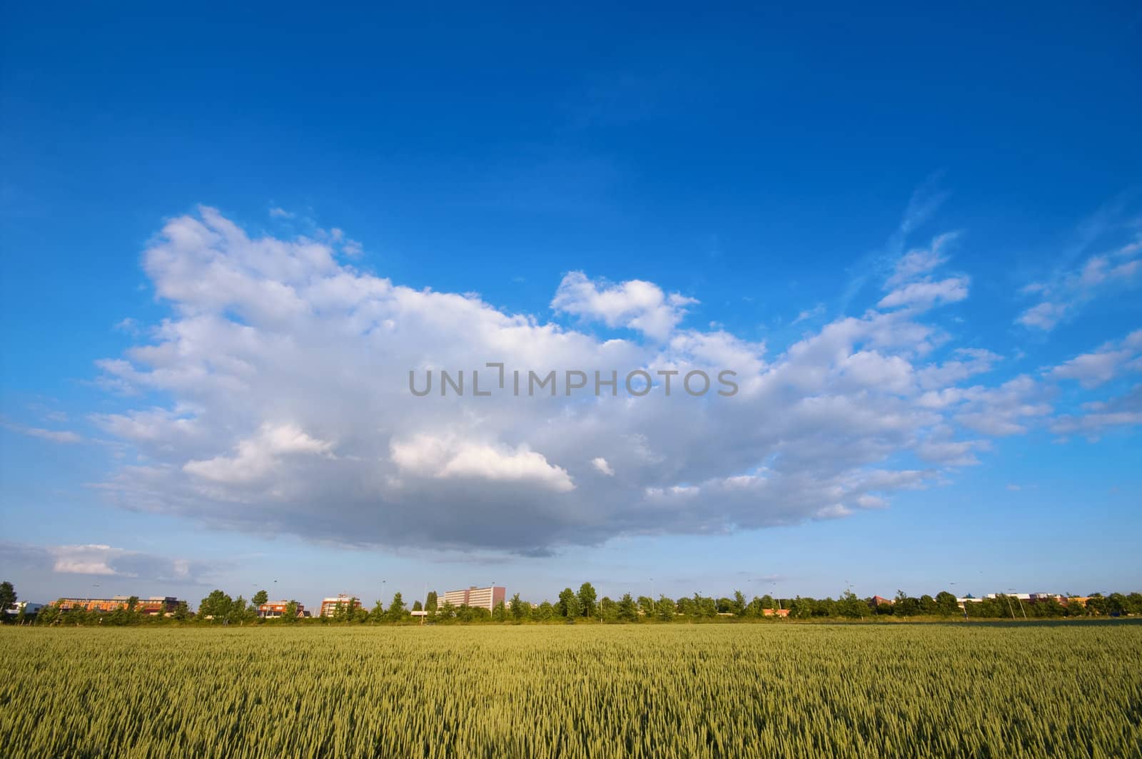 very big cloud hanging over a city and farmland
