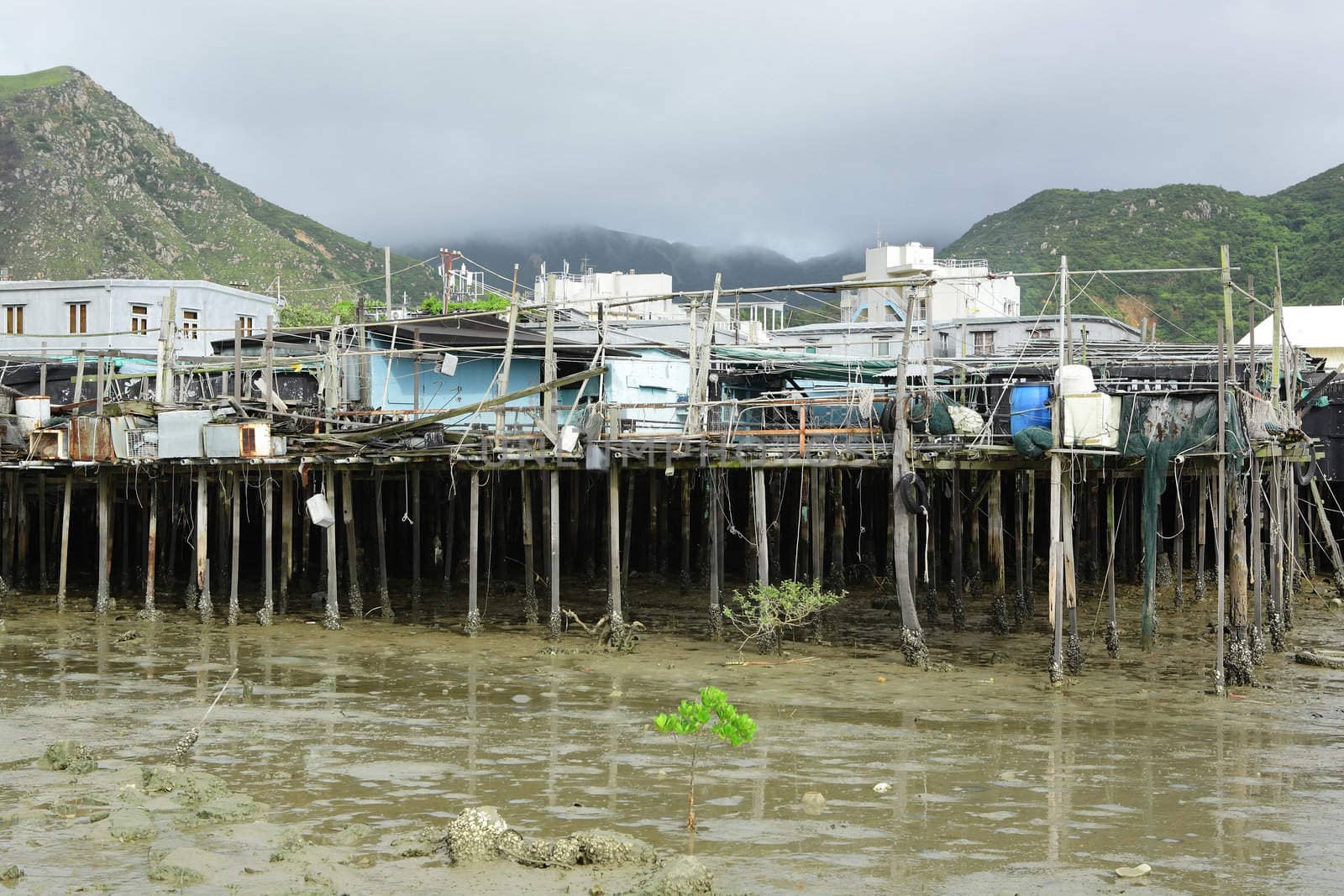 Tai O fishing village