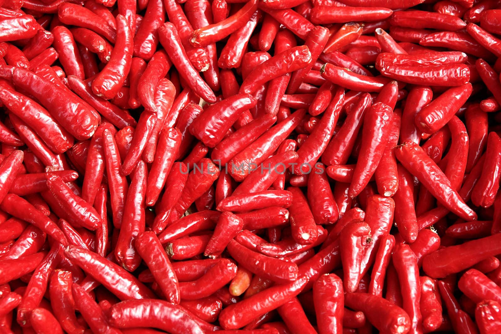chili peppers