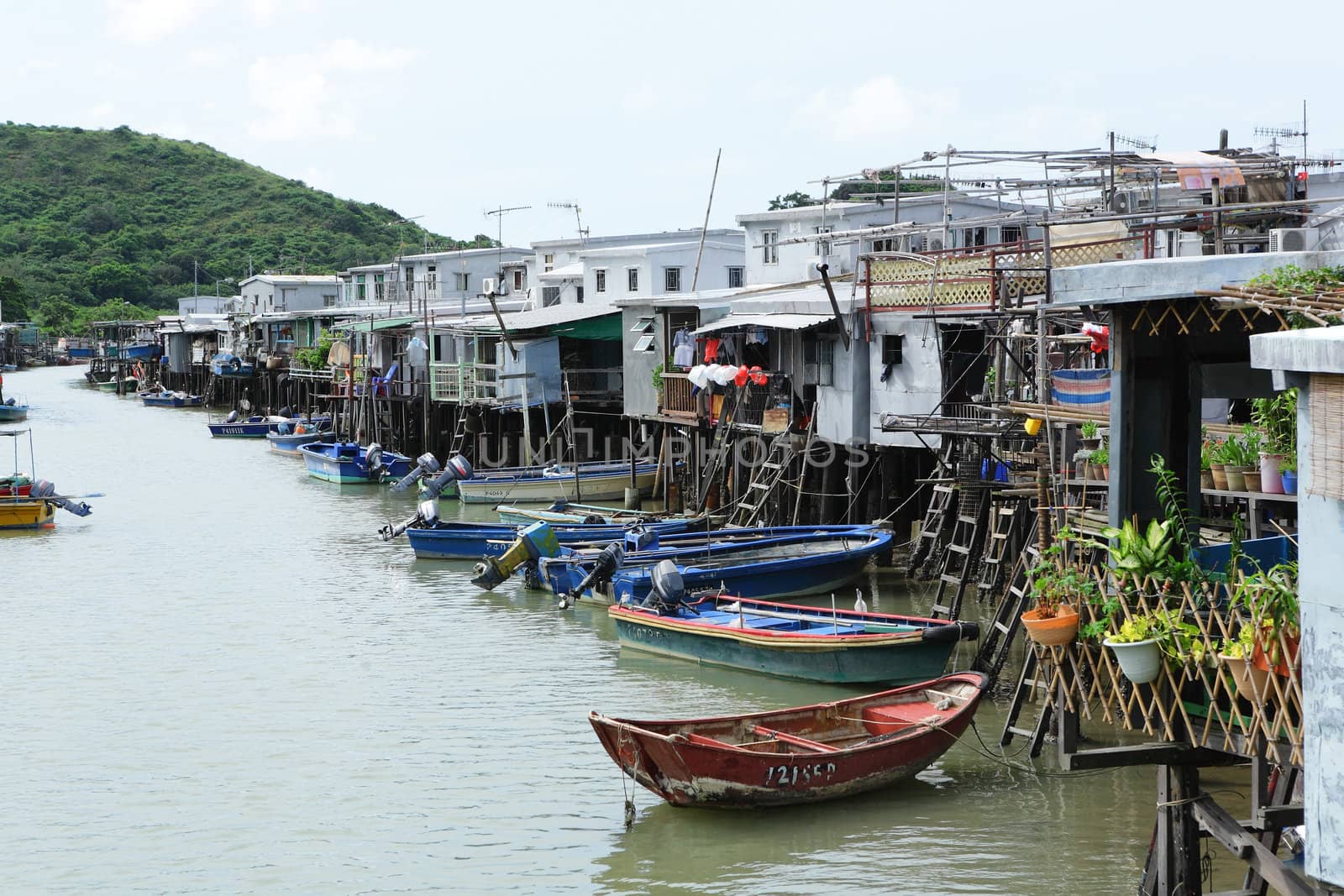 Tai O fishing village