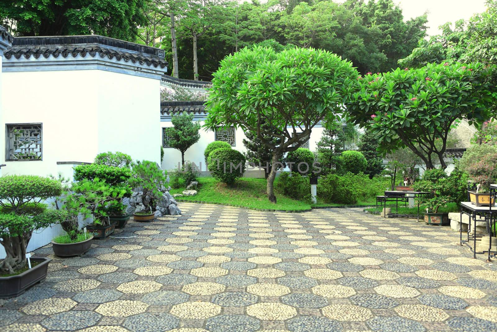 chinese garden